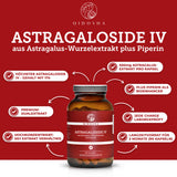 Astragalosid IV aus Astragalus-Wurzelextrakt plus Piperin