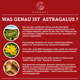 Astragalosid IV aus Astragalus-Wurzelextrakt plus Piperin