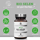 Sélénium biologique (végétal) issu de graines de basilic indien et de tournesol