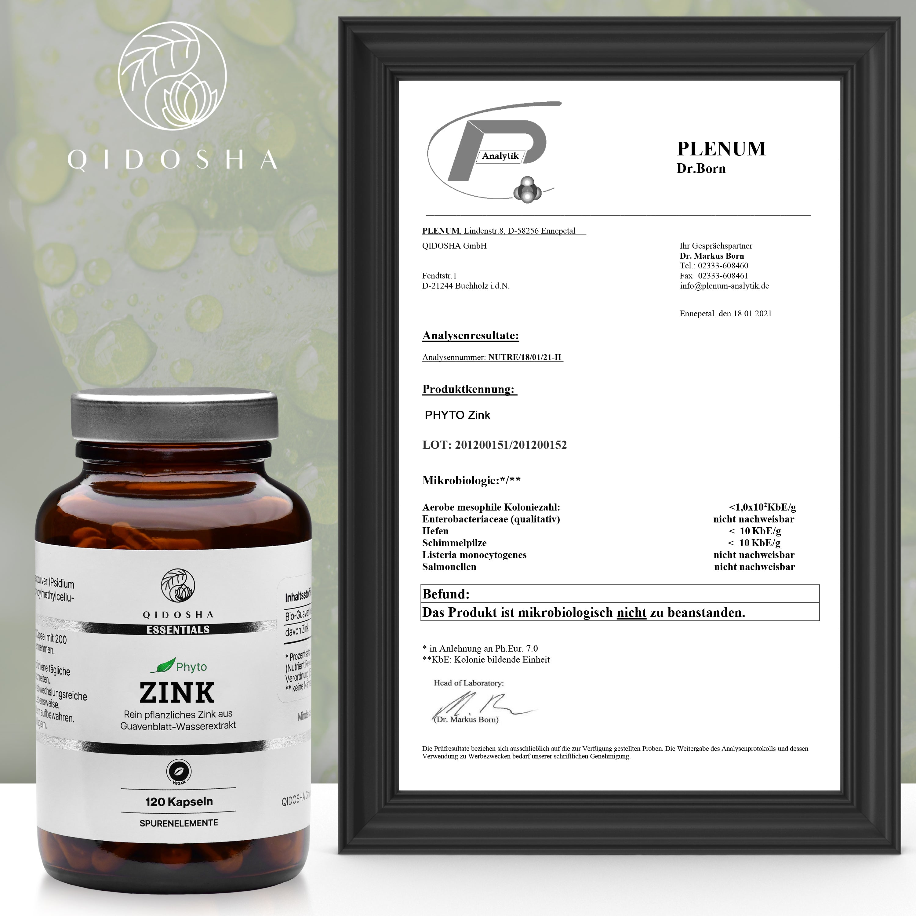 Zink aus Guavenblatt-Extrakt: Premium-Zink-Supplement in brauner Glasflasche, laborgeprüft und ohne Füllstoffe, neben Plenum-Testbericht mit unbedenklichem mikrobiologischen Ergebnis.