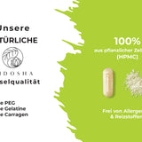 Organic artichoke extract from France with 2.5% cynarin