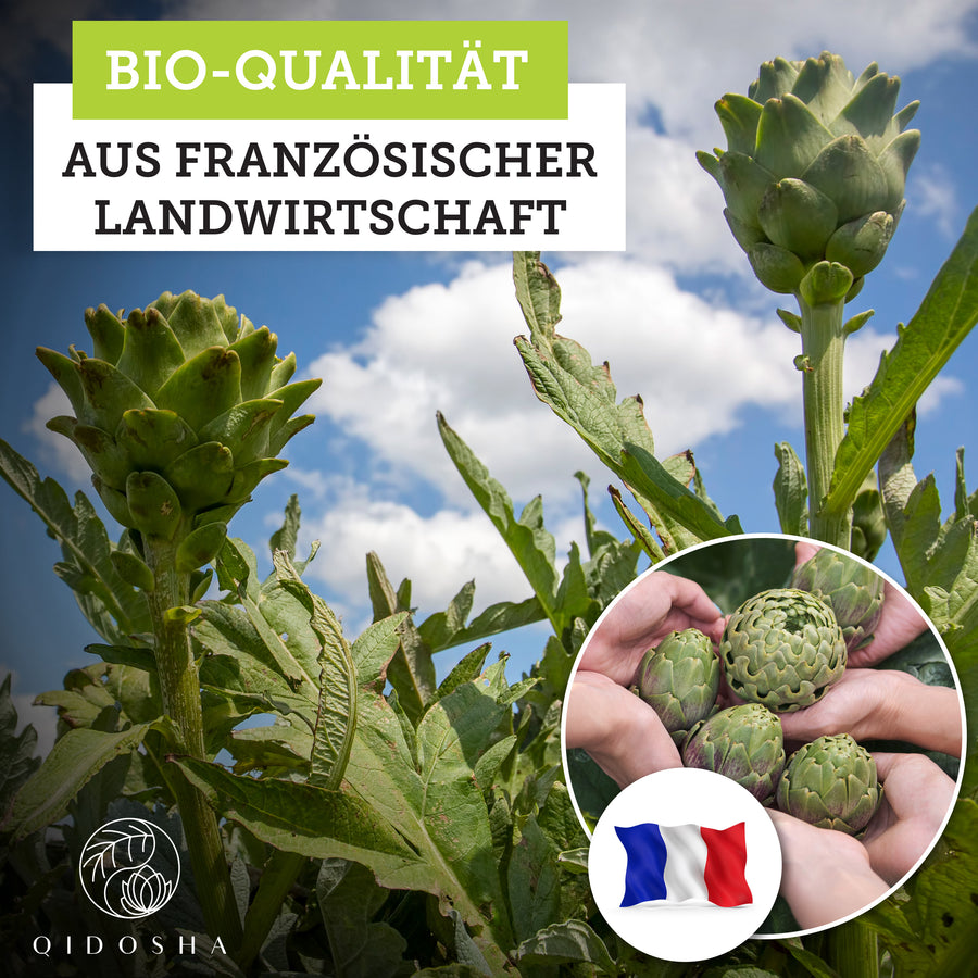 Bio Artischockenextrakt aus Frankreich mit 2,5% Cynarin