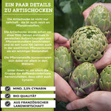 Organic artichoke extract from France with 2.5% cynarin