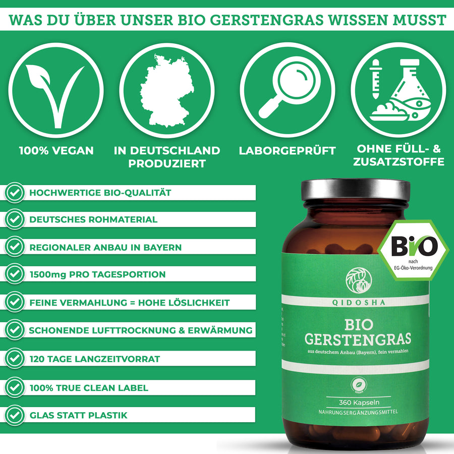 Bio Gerstengras im Glas