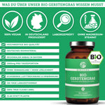 Bio Gerstengras: Premium, laborgeprüftes Nahrungsergänzungsmittel. 100% vegan, deutsche Herstellung, ohne Füllstoffe, in Glasverpackung. Enthält 360 Kapseln, 1500 mg pro Tagesdosis.