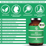 Bio Gerstengras: Premium, laborgeprüftes Nahrungsergänzungsmittel. 100% vegan, deutsche Herstellung, ohne Füllstoffe, in Glasverpackung. Enthält 360 Kapseln, 1500 mg pro Tagesdosis.