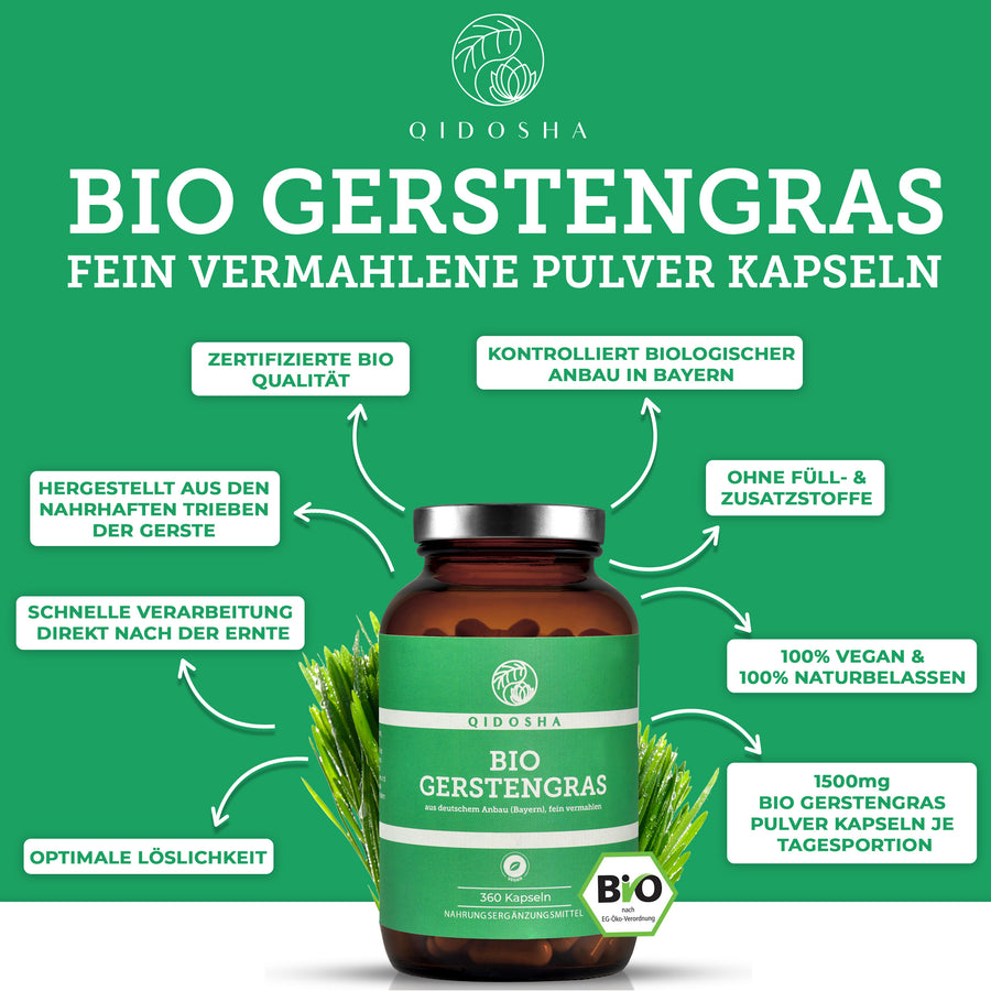 Bio Gerstengras im Glas