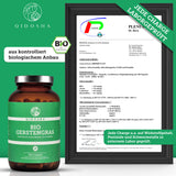 Bio Gerstengras von QIDOSHA: Premium-Nahrungsergänzungsmittel in braunem Glas, 360 Kapseln. Laborgeprüfte, organische Qualität, ohne Füllstoffe. Enthält 1500 mg je Tagesportion. Vegan.