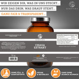 Chaga Extrakt