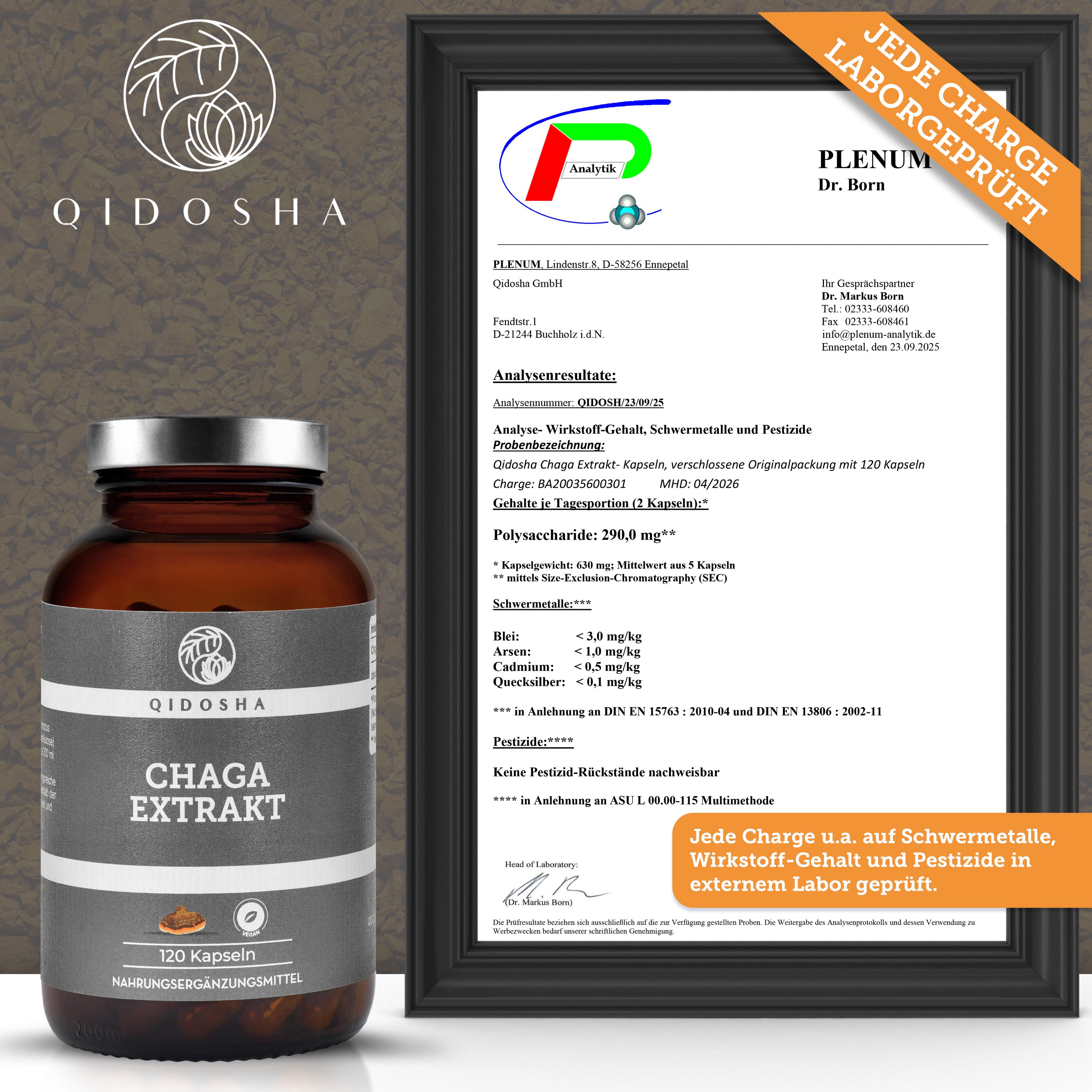 QIDOSHA Chaga Extrakt: Premium Nahrungsergänzungsmittel, in braunem Glas, laborgeprüft auf Wirkstoffe, ohne Zusatzstoffe, hohe Qualität, 120 vegane Kapseln.