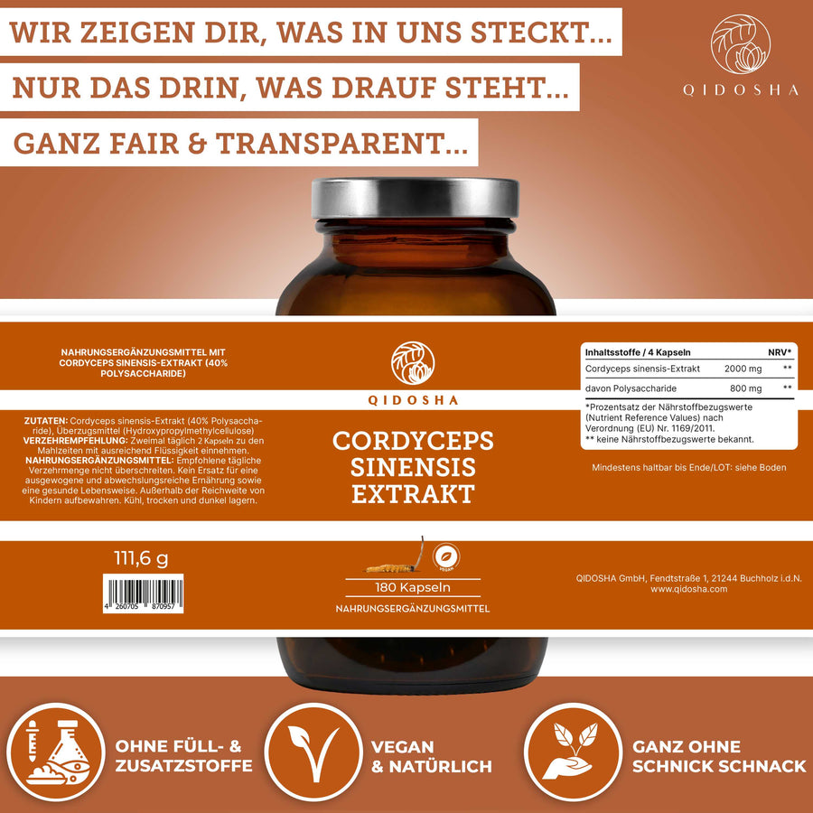 Cordyceps sinensis (CS-4) Extrakt im Glas (Chinesischer Raupenpilz)