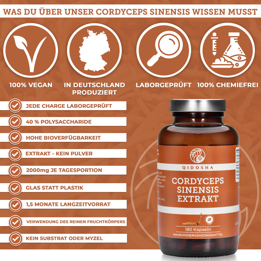 Cordyceps sinensis (CS-4) Extrakt im Glas (Chinesischer Raupenpilz)