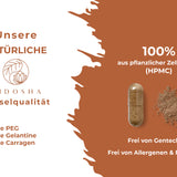 Cordyceps sinensis (CS-4) extract (Chinese caterpillar fungus)