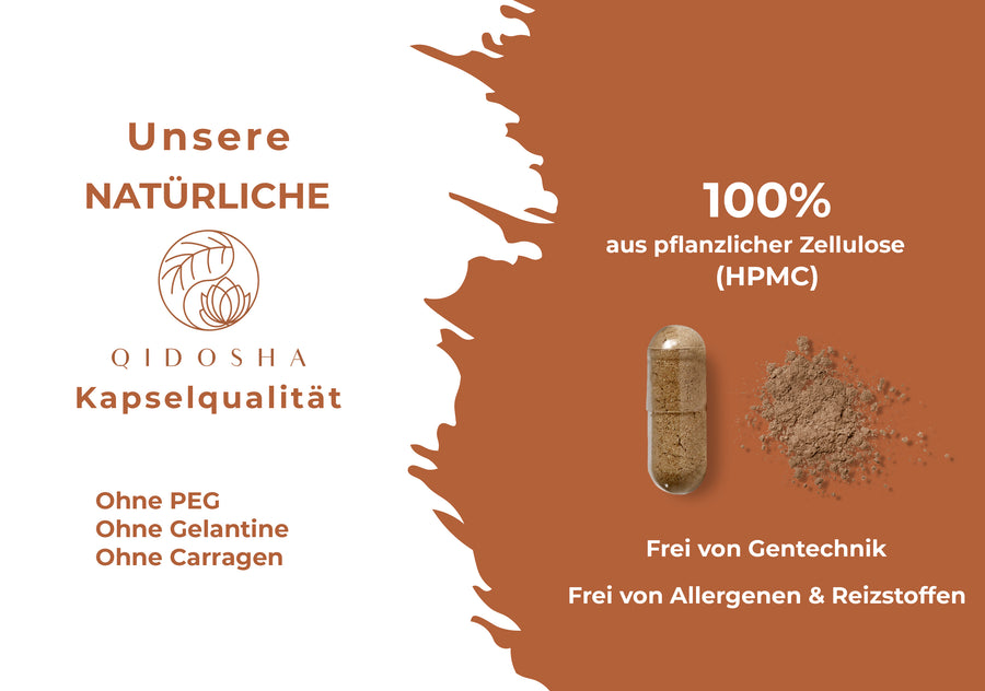 Cordyceps sinensis (CS-4) Extrakt im Glas (Chinesischer Raupenpilz)