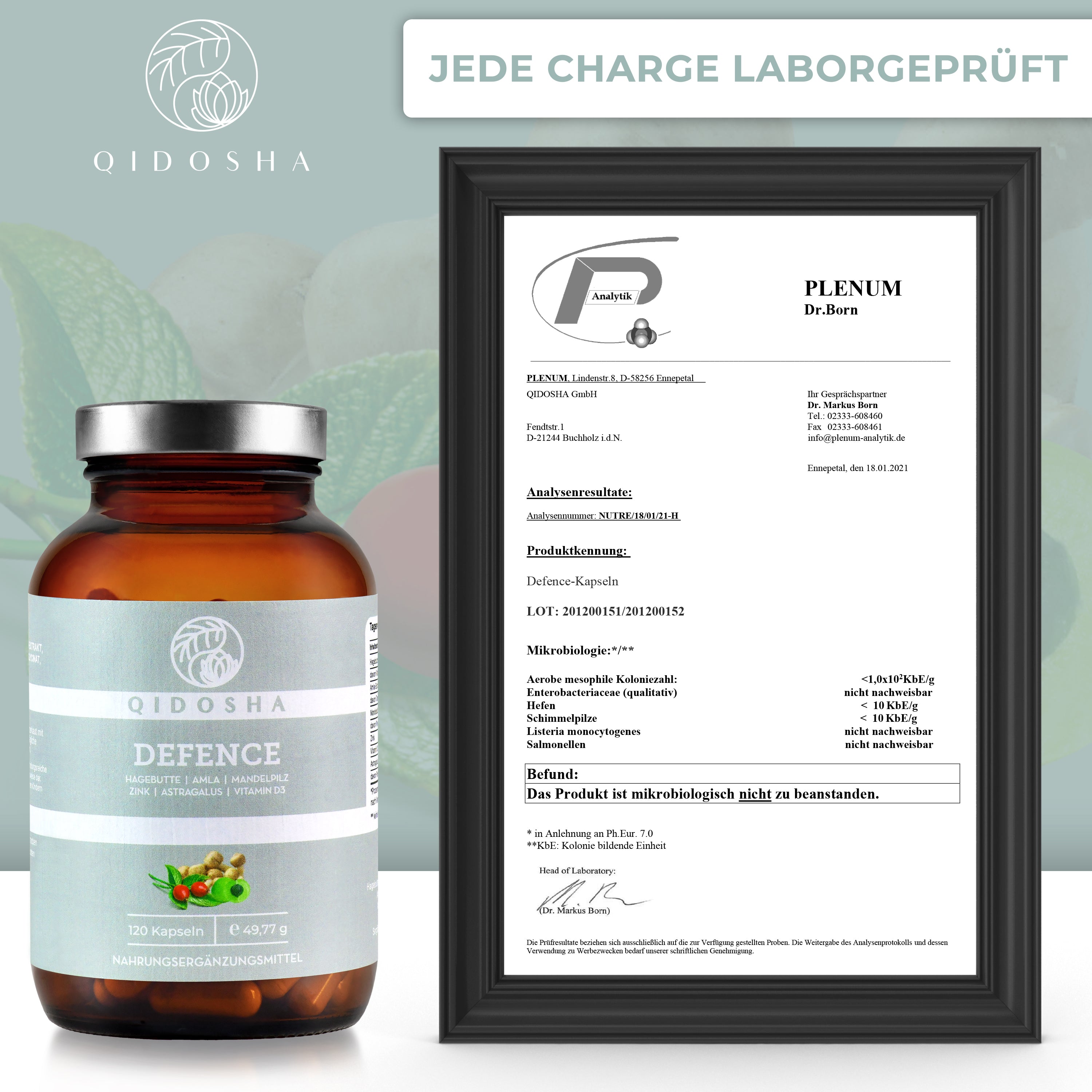 DEFENCE² Immunsystem-Komplex: Premium-Nahrungsergänzungsmittel im braunen Glas, laborgeprüft, mit Vitamin D3, Zink, Mandelpilz und Pflanzenextrakten, ohne Füll- oder Zusatzstoffe.