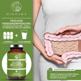 Complexo de cultura de bactérias FLORA BALANCE