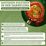 FLORA BALANCE Bakterien-Kulturen-Komplex Infografik zeigt Darm mit Lupe auf Bakterien, betont Premium-Qualität, 20 Stämme, hohe Dosierung, probiotische Kapseln mit Inulin, laborgeprüft.