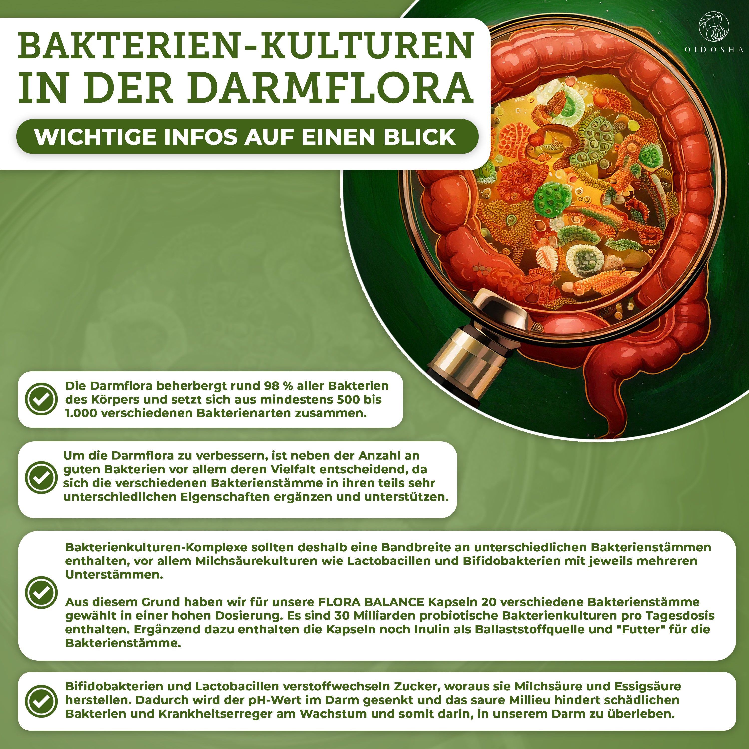 FLORA BALANCE Bakterien-Kulturen-Komplex Infografik zeigt Darm mit Lupe auf Bakterien, betont Premium-Qualität, 20 Stämme, hohe Dosierung, probiotische Kapseln mit Inulin, laborgeprüft.