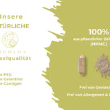 Ginkgo extract (new dosage and capsule quantity)