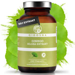 Ginkgo-Extrakt (neue Dosierung und Kapselmenge): Braunglas mit 240 veganen Kapseln à 80 mg, Premium-Nahrungsergänzungsmittel, ohne Füllstoffe, laborgeprüfte Qualität, true clean label.