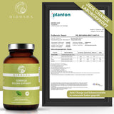 Ginkgo extract (new dosage and capsule quantity)