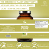 Ginkgo extract (new dosage and capsule quantity)