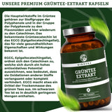 Extrait de thé vert (décaféiné)