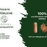 Extrait de thé vert (décaféiné)