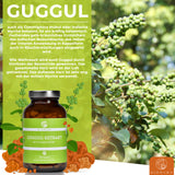 Estratto di Guggul
