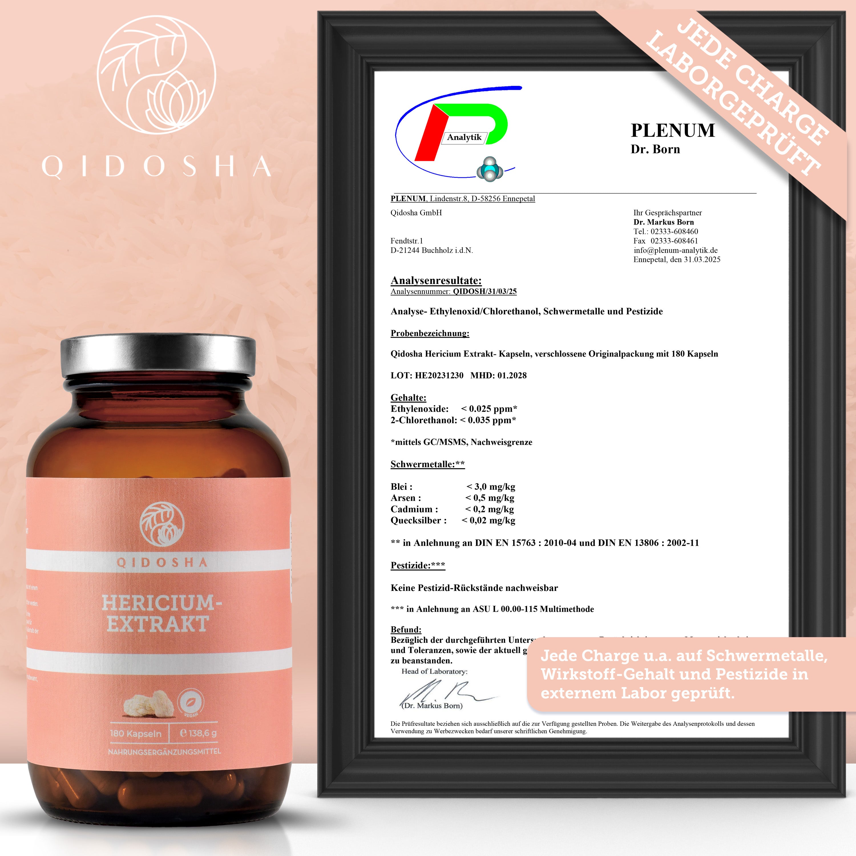 QIDOSHA Hericium-Extrakt Kapseln im Glas, 180 Stück. Premium, laborgeprüft, hohe Bioverfügbarkeit, ohne Füllstoffe. Zertifikat für Schadstoffanalysen sichtbar. Vegane, hochwertige Nahrungsergänzung.