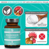 Hyaluronsäure (hohes Molekulargewicht)