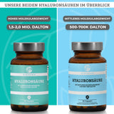 Hyaluronsäure (hohes Molekulargewicht)