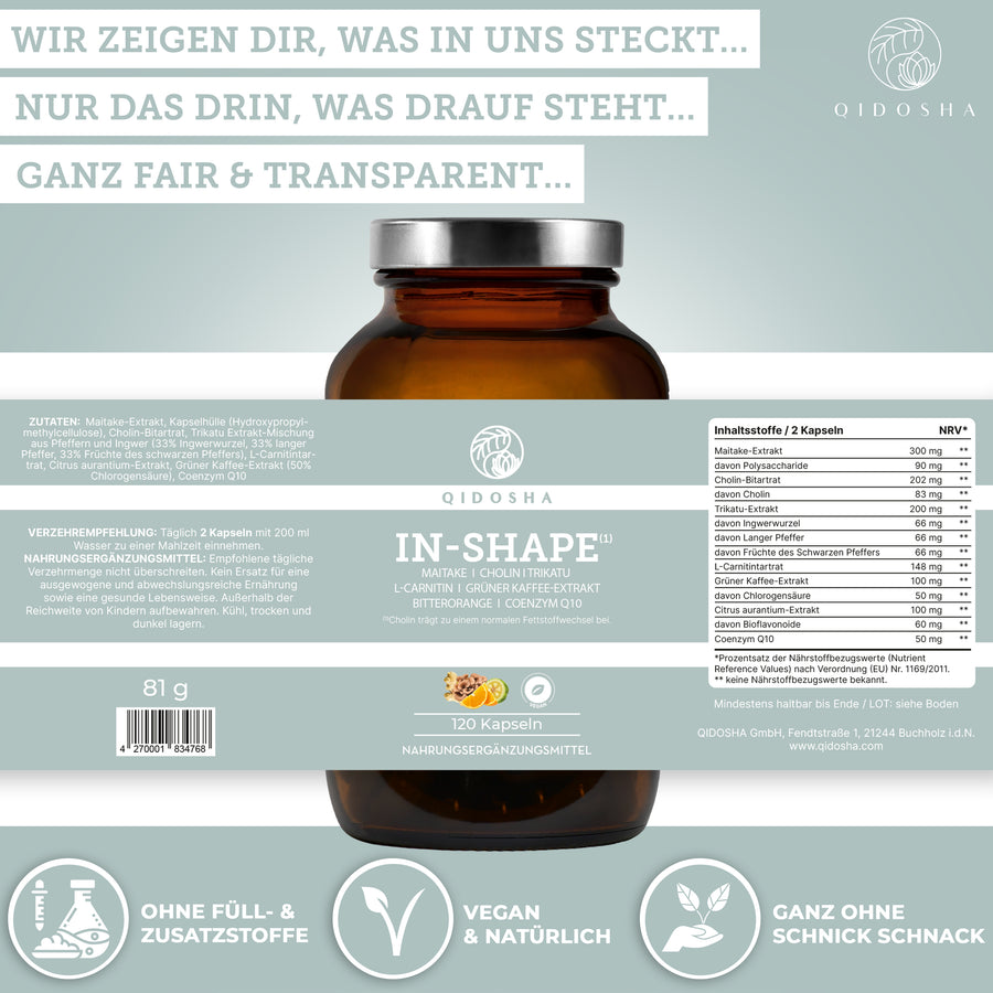 IN-SHAPE² im Glas