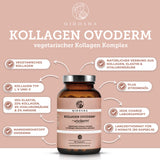 Collagène Ovoderm® (végétarien)