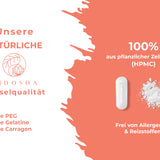 Nicotinamid Ribosid (NR) Kapseln von QIDOSHA: Premium, laborgeprüfte Qualität, vegan, ohne Füllstoffe, in Braunglas. Unterstützt NAD+ Bildung.