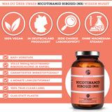 Nicotinamid Ribosid (NR) als NAD+ Vorstufe von QIDOSHA: 100% vegan, laborgeprüft, ohne Zusatzstoffe, 300mg/Kapsel, 4-Monate Vorrat, in Deutschland produziert, Glasverpackung.