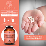 Nicotinamid Ribosid (NR) Premium-Kapseln von QIDOSHA: 120 laborgeprüfte, hochdosierte Kapseln in lichtgeschütztem Glas, unterstützen NAD+ Bildung ohne Füllstoffe.