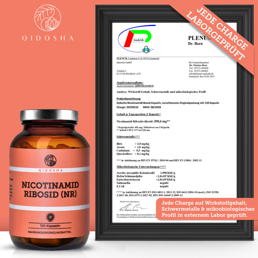 QIDOSHA Nicotinamid Ribosid (NR), 120 Kapseln in lichtgeschütztem Glas, laborgeprüft für höchste Qualität, ohne Füllstoffe, unterstützt NAD+ Bildung, extern getestet auf Sicherheit.