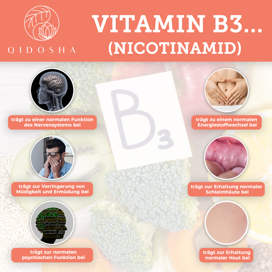 Nicotinamid Ribosid (NR) Grafik: Sechs Icons zeigen Vitamin B3 Vorteile, z.B. Energie, Haut, Nerven. Premium, laborgeprüft, ohne Zusatzstoffe, hohe Qualität, von QIDOSHA.