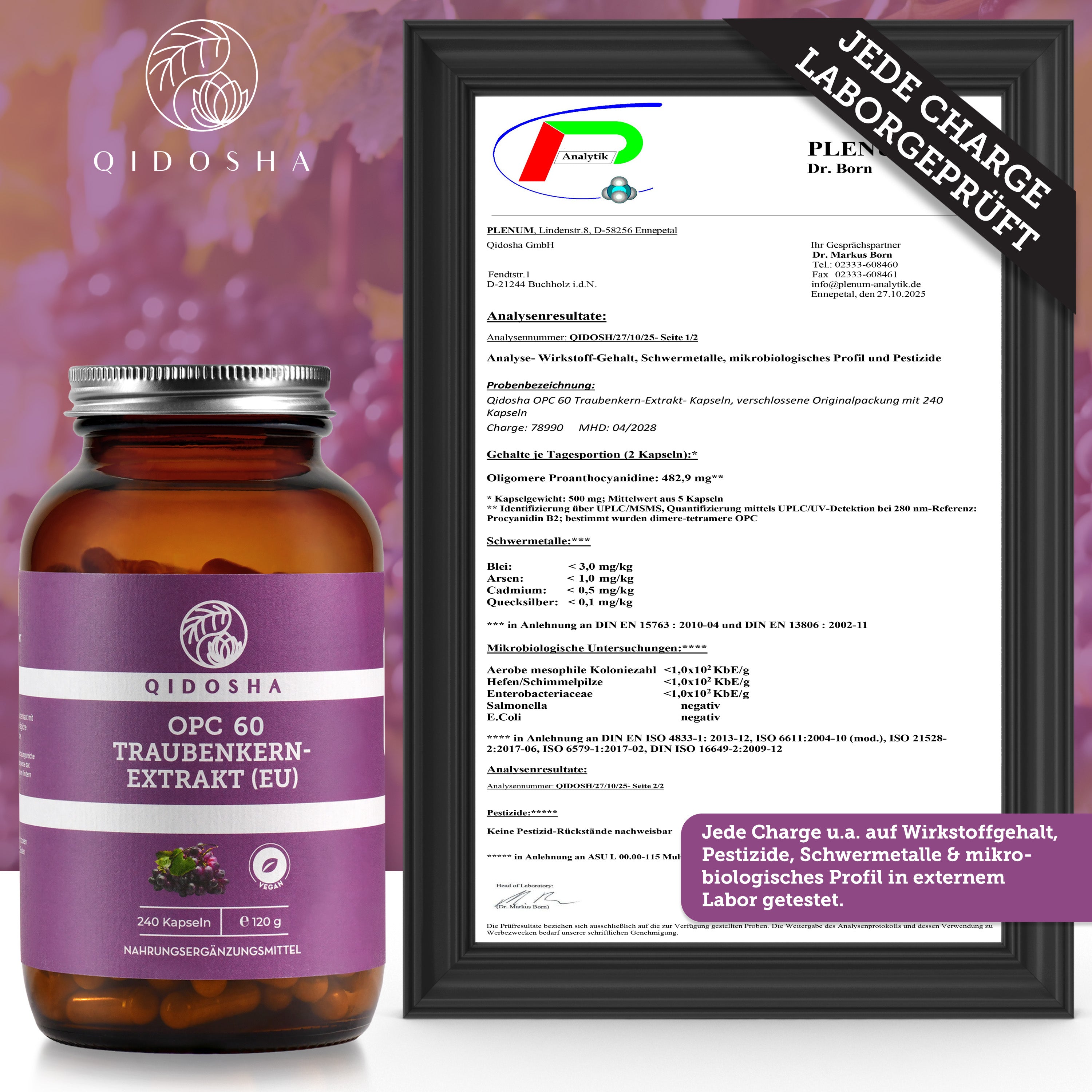 QIDOSHA Traubenkernextrakt OPC: Premium-Nahrungsergänzungsmittel, 240 vegane Kapseln, laborgeprüfte Qualität, ohne Füll- oder Zusatzstoffe, True Clean Label, hoher OPC-Anteil.