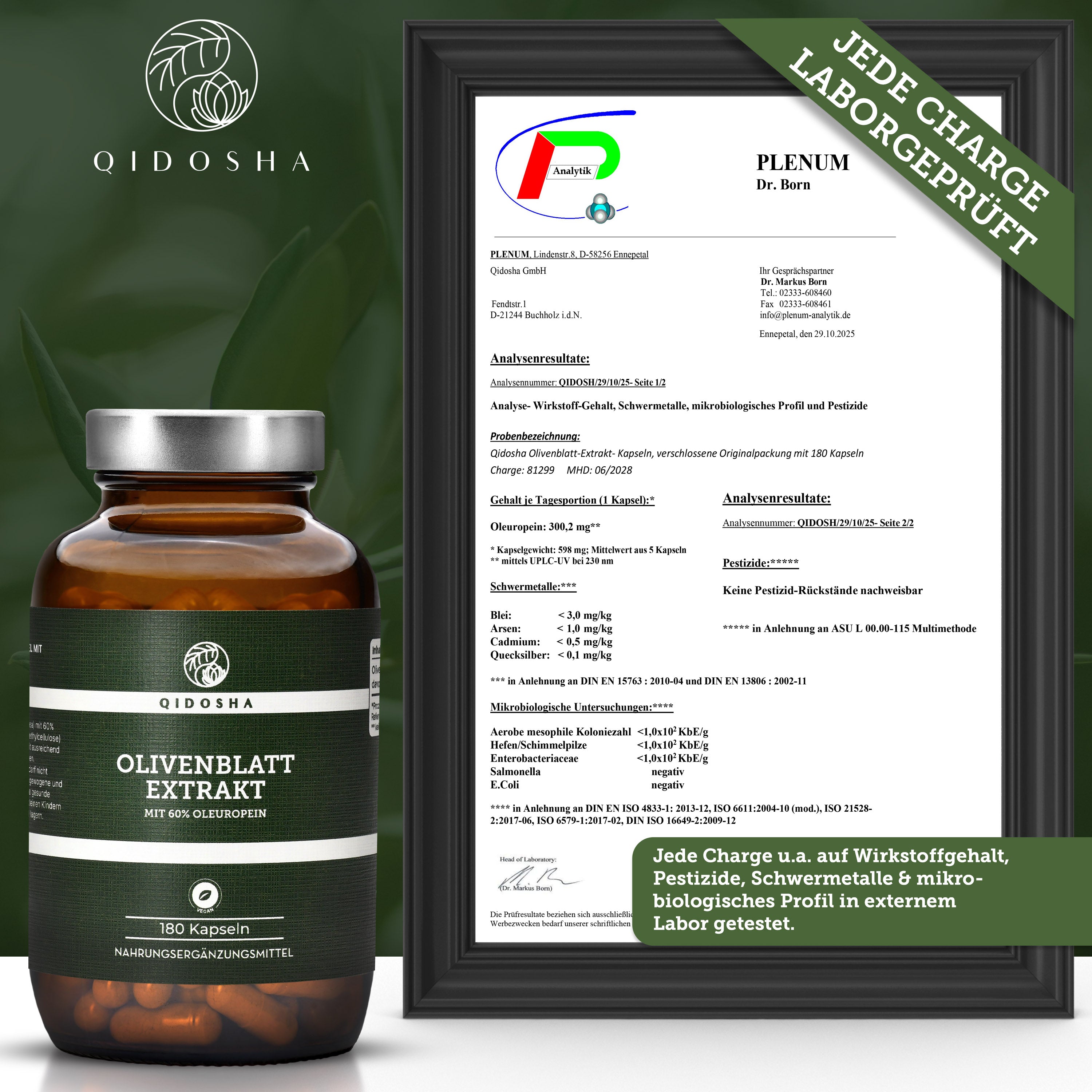 Olivenblatt-Extrakt mit 60% Oleuropein, 180 vegane Kapseln in nachhaltigem Glas, laborgeprüft, ohne Füllstoffe. Hochdosiert, Premium-Qualität, hergestellt in Deutschland.