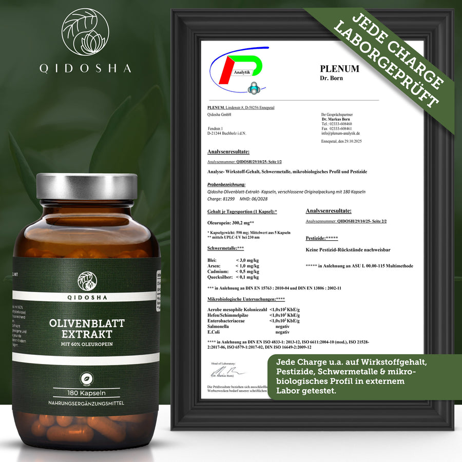 Olivenblatt-Extrakt mit 60% Oleuropein, 180 vegane Kapseln in nachhaltigem Glas, laborgeprüft, ohne Füllstoffe. Hochdosiert, Premium-Qualität, hergestellt in Deutschland.