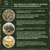 Extract din frunze de măslin cu 60% oleuropeină