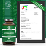QIDOSHA's vegan Omega-3-Kapseln, Premium-Nahrungsergänzung aus Algenöl, laborgeprüft, hohe Qualität, 120 Kapseln, enthält DHA und EPA, ohne Füllstoffe.