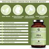 Palmitoylethanolamid (PEA) Nahrungsergänzungsmittel von Qidosha, 180 vegane Kapseln, Premium-Qualität, ohne Füllstoffe, in Deutschland produziert, 1200 mg PEA pro Tagesportion, im Braunglas.