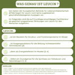 Infografik über Leucin, verbunden mit QIDOSHA's Premium-Produkt Mobility Stack, das Beweglichkeit durch synergistische Pflanzenextrakte wie Weihrauch und Teufelskralle unterstützt.