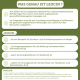 Infografik über Leucin, verbunden mit QIDOSHA's Premium-Produkt Mobility Stack, das Beweglichkeit durch synergistische Pflanzenextrakte wie Weihrauch und Teufelskralle unterstützt.