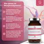 QIDOSHA Mental Stack: Premium-Phosphatidylserin, 120 vegane Kapseln, unterstützt kognitive Gesundheit und Gehirnfunktion. Hohe Qualität, laborgeprüft, ohne Füllstoffe für optimale neuronale Unterstützung.