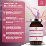 QIDOSHA Mental Stack: Premium-Phosphatidylserin, 120 vegane Kapseln, unterstützt kognitive Gesundheit und Gehirnfunktion. Hohe Qualität, laborgeprüft, ohne Füllstoffe für optimale neuronale Unterstützung.