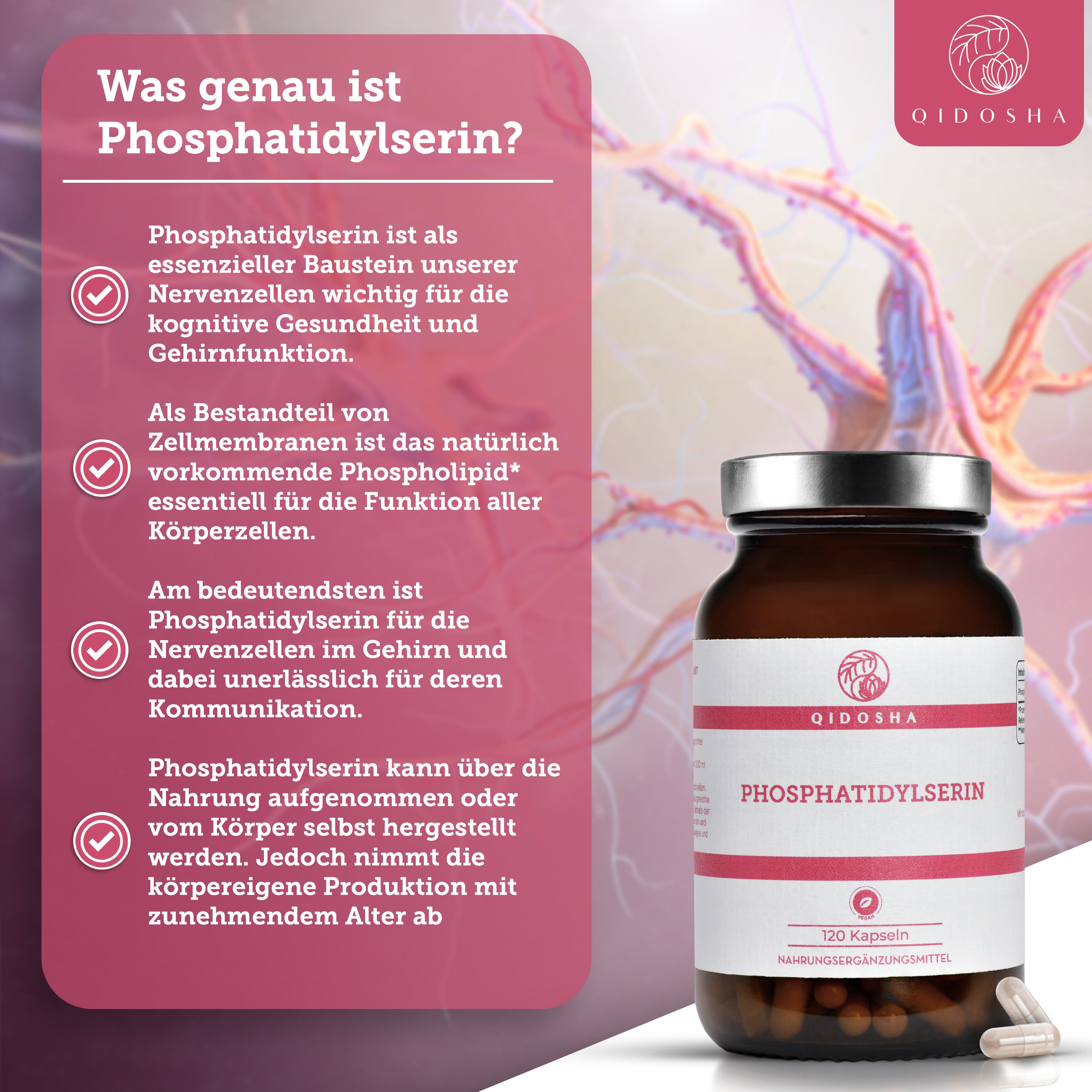 QIDOSHA Mental Stack: Premium-Phosphatidylserin, 120 vegane Kapseln, unterstützt kognitive Gesundheit und Gehirnfunktion. Hohe Qualität, laborgeprüft, ohne Füllstoffe für optimale neuronale Unterstützung.